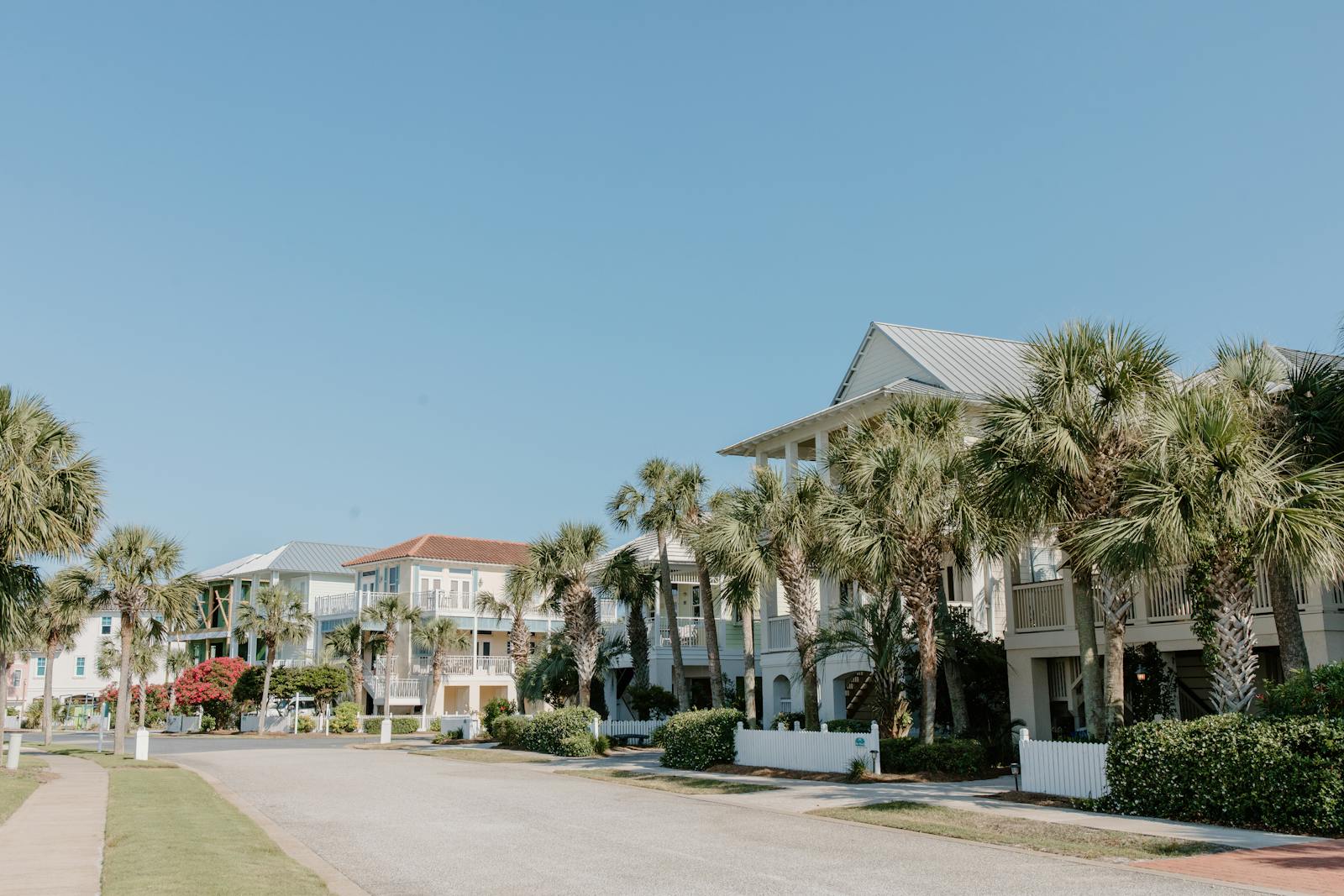Suburban Central Florida street lined with palm trees and modern homes